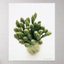 Zoek naar asperges posters Voedsel en drink