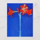 Zoek naar amaryllis uitnodigingen Mondrian