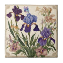 Zoek naar paarse iris bloemig