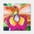 Zoek naar orchideeën magneten Kleurrijk