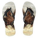 Zoek naar hengst kleding Bruin paard