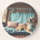 Zoek naar bed onderzetters Hond