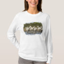 Zoek naar camargue kleding Kudde