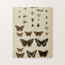 Zoek naar dieren puzzels Vlinders