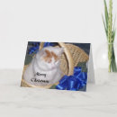 Zoek naar grappige turk kaarten Kat