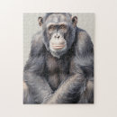 Zoek naar chimpansee puzzels Gorilla