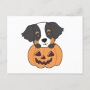 Zoek naar bernese berghond briefkaarten Halloween