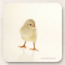 Zoek naar vloed Natuur