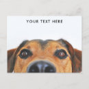Zoek naar cute dog briefkaarten Schattig