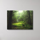 Zoek naar boomstam kunst Bossen