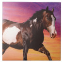 Zoek naar horse tegels Equine