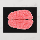 Zoek naar hersenen briefkaarten Neurologie