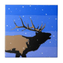 Zoek naar alaska tegels Blauw