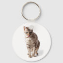 Zoek naar bengaals sleutelhangers Kitten