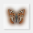 Zoek naar vlinder magneten Insect