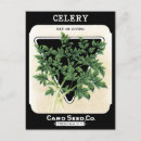 Zoek naar pakket briefkaarten Elk persoon