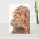 Zoek naar chocolate kaarten Labradoodle