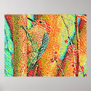 Zoek naar mozaïek kunst Boom