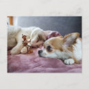 Zoek naar sprookje briefkaarten Grappig