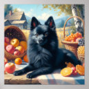 Zoek naar schipperke kunst Puppy
