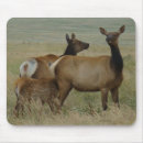 Zoek naar eland muismatten Wapiti
