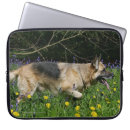 Zoek naar herders honden hoesjes Foto ' s