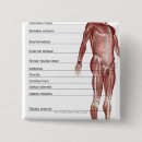 Zoek naar kwart buttons Drie