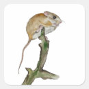 Zoek naar leuke muizen stickers Dieren
