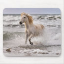 Zoek naar hengst muismatten Camargue