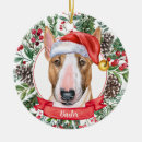 Zoek naar bull terrier ornamenten Waterverf