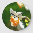 Zoek naar abrikoos klokken Tuin