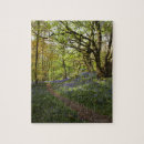 Zoek naar brons puzzels Landschap