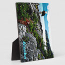 Zoek naar adelaar fotoplaat Wild