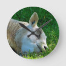 Zoek naar schaap klokken Elk persoon