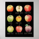 Zoek naar appelen posters Herfst