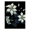 Zoek naar jasmijn posters Jasmine