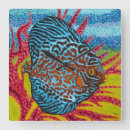 Zoek naar vissen klokken Dieren