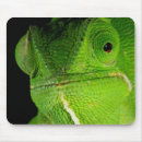 Zoek naar chameleon muismatten Groen