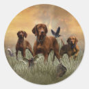 Zoek naar vizsla stickers Jacht