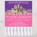 Zoek naar honden flyers Huisdier