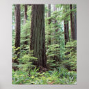 Zoek naar vancouver kunst British columbia