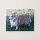 Zoek naar pembroke corgi puzzels Welsh