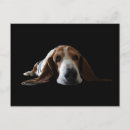 Zoek naar basset hond briefkaarten Schattig