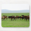 Zoek naar weide muismatten Natuur