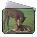 Zoek naar veulen hoesjes Ruitersport