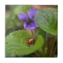 Zoek naar ladybug tegels Ladyvogel