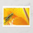 Zoek naar abstracte natuur briefkaarten Groen