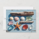 Zoek naar zeesterren briefkaarten Strand