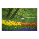 Zoek naar keukenhof tuin posters Lente