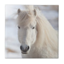 Zoek naar ijsland tegels Danita delimont